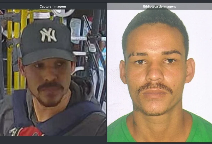 Pedro henrique dias vieira ribeiro