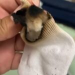 Screenshot 20250822 072721 instagram