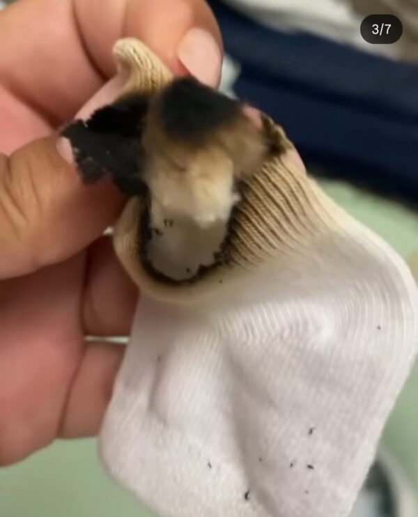 Screenshot 20250822 072721 instagram