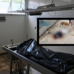 1 20251020 192733 0000