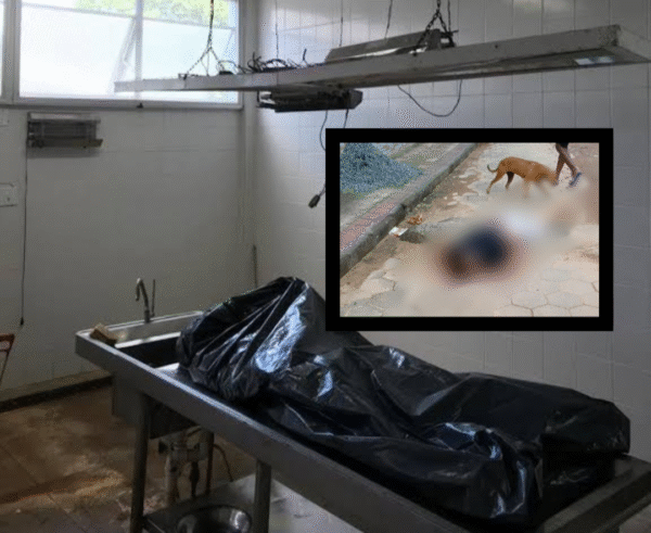 1 20251020 192733 0000