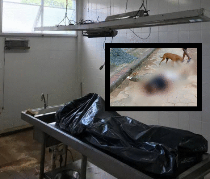 1 20251020 192733 0000