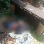 Dewatermark.ai 1761590293655