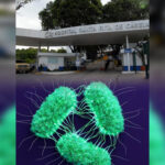 Inshot 20251024 185323536