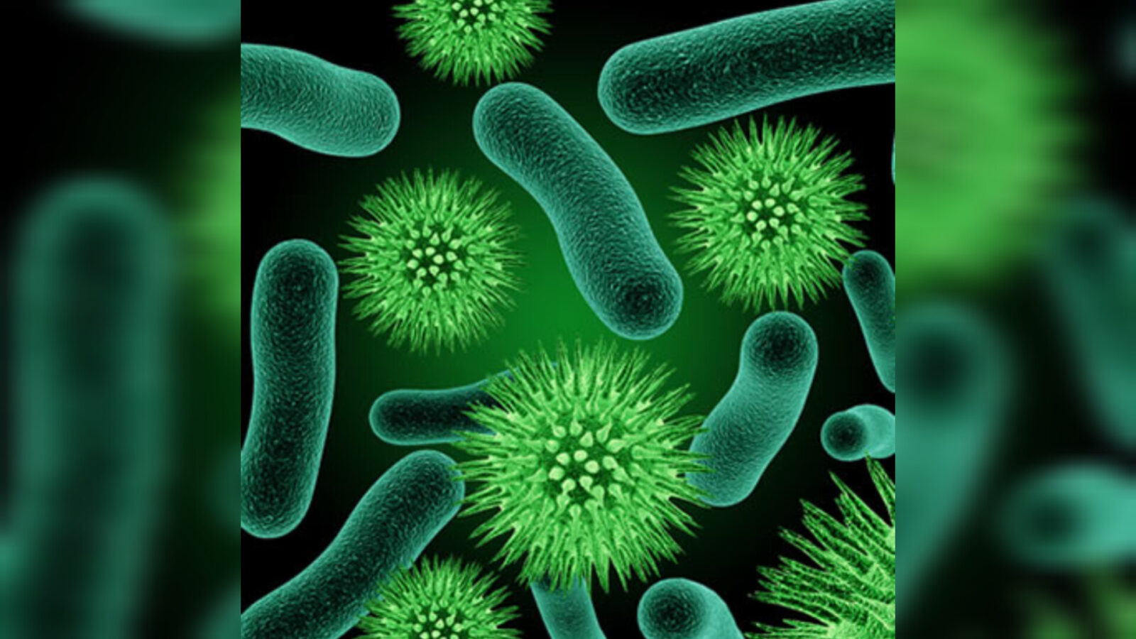 Inshot 20251026 195151921