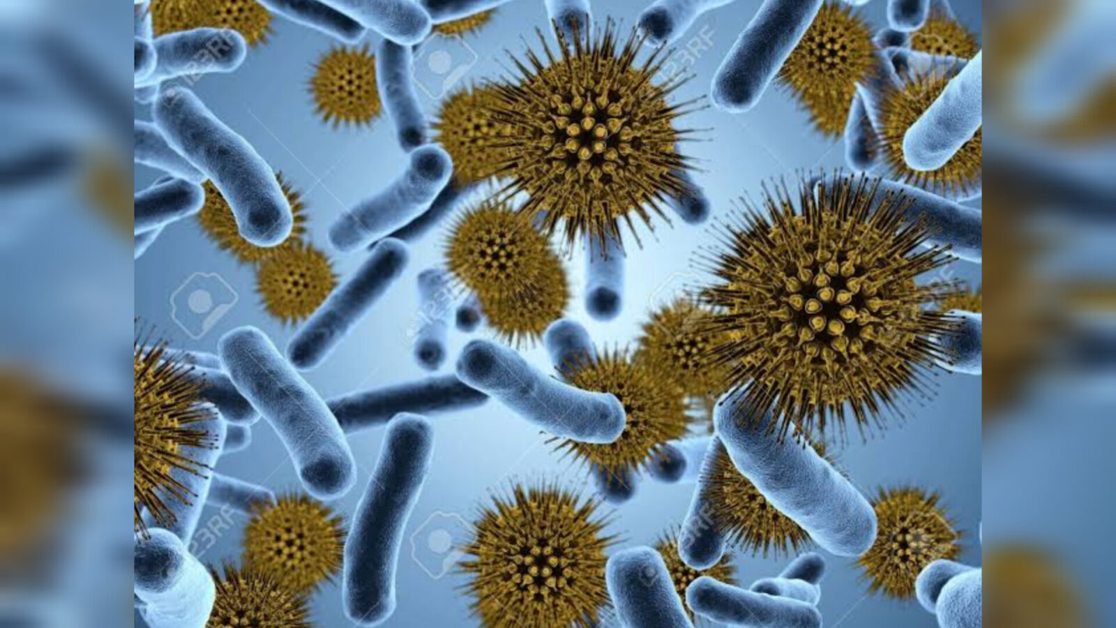 Inshot 20251026 215449367