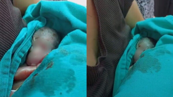 Inshot 20251027 110207762