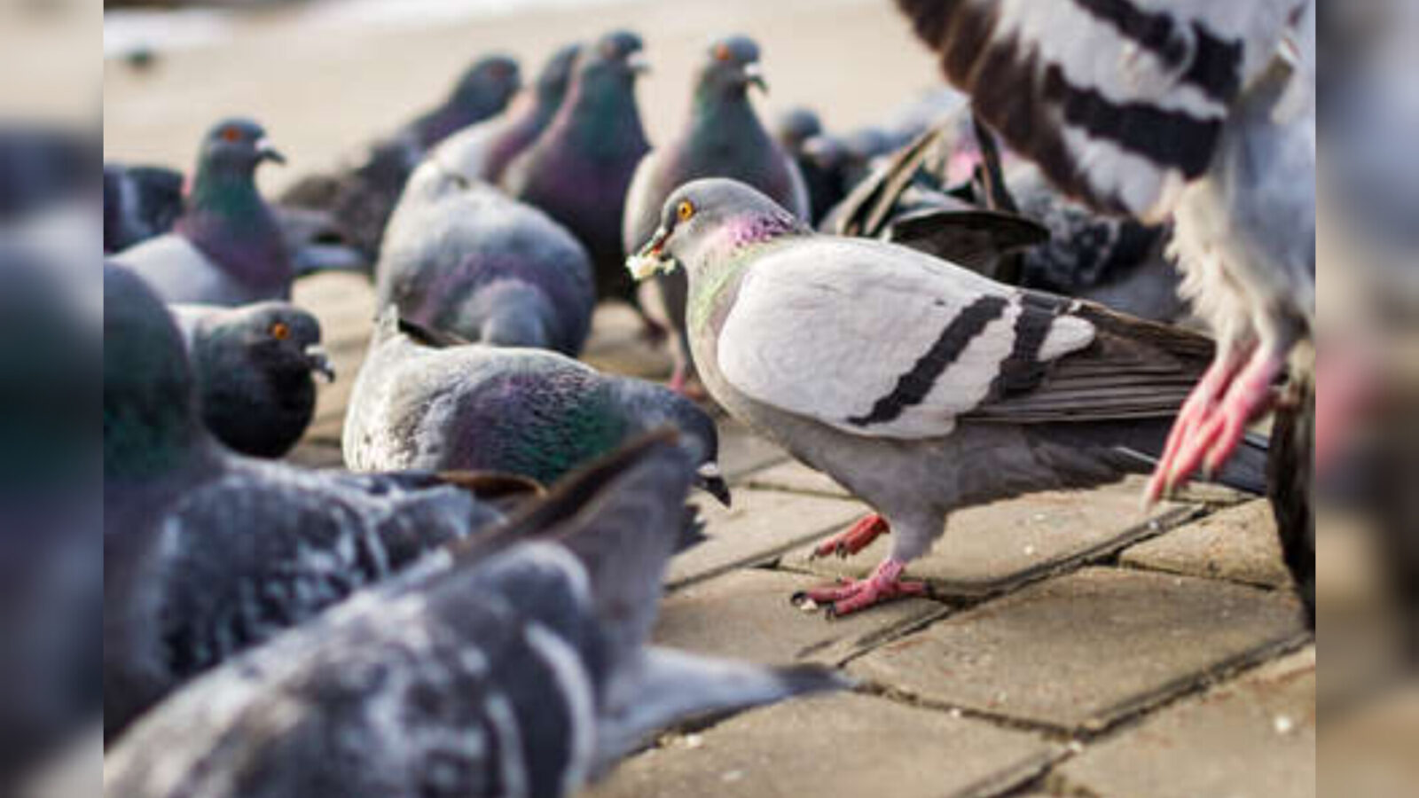 Inshot 20251027 200122909