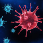 Inshot 20251029 203908260