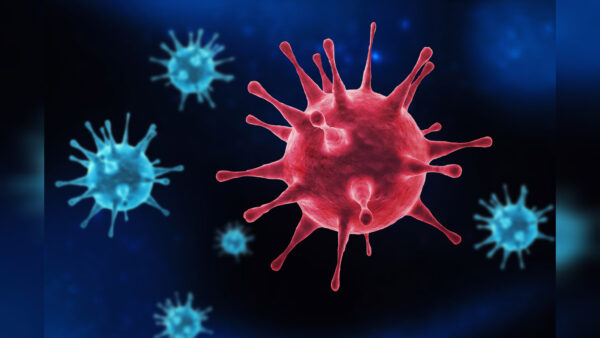 Inshot 20251029 203908260