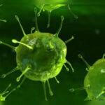 Inshot 20251030 183850981