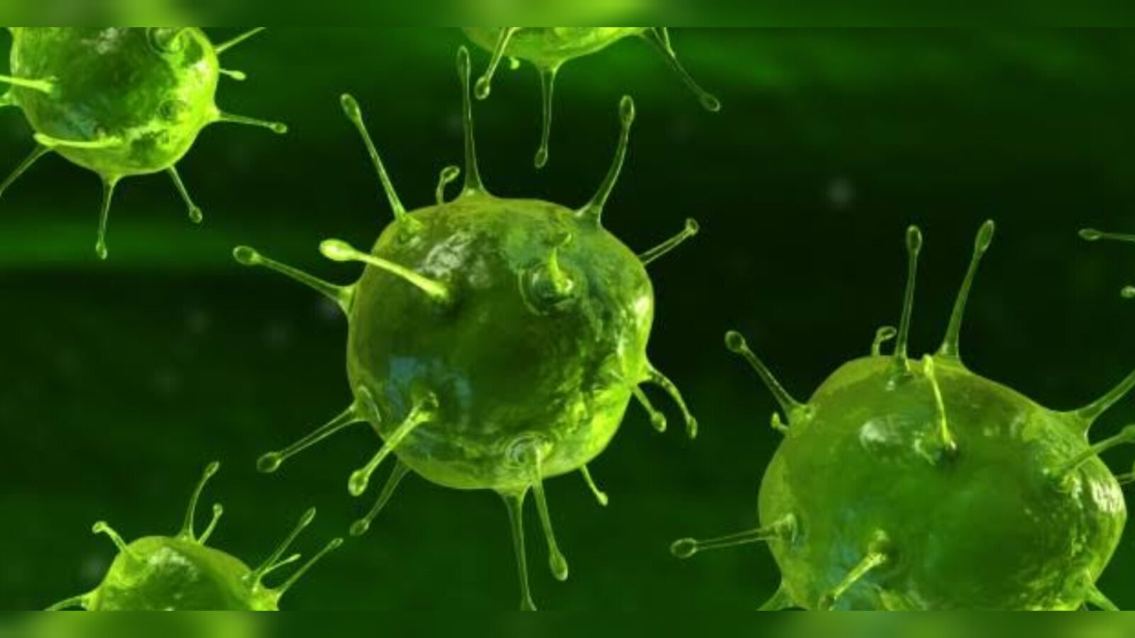 Inshot 20251030 183850981