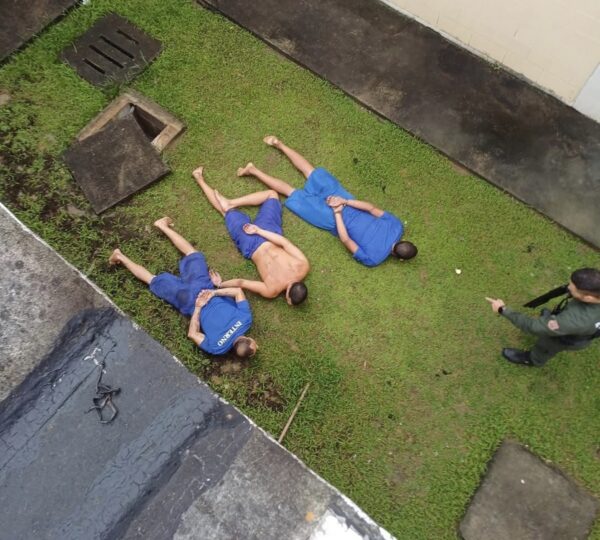 Screenshot 20251019 171651 gallery