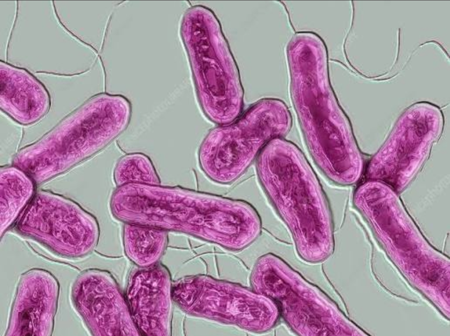 Screenshot 20251025 153233 chatgpt