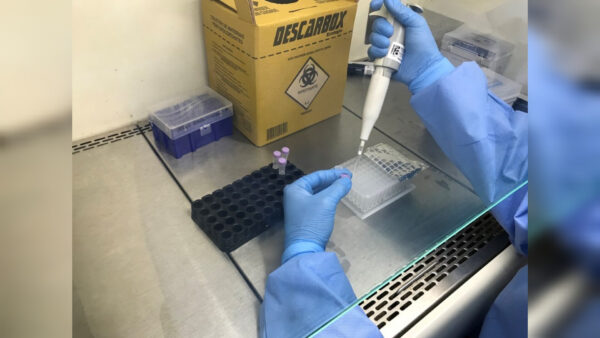 Inshot 20251102 115612368