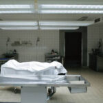 Inshot 20251102 143744217