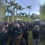 Inshot 20251105 134945738