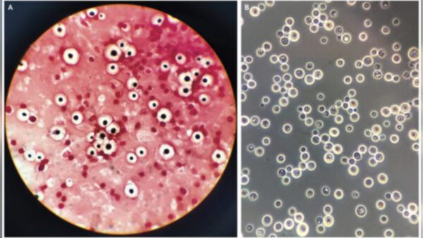 Inshot 20251105 192836760