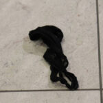 Inshot 20251105 220256601