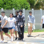 Inshot 20251109 204628148