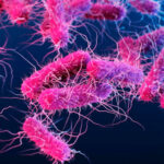 Inshot 20251111 223322921