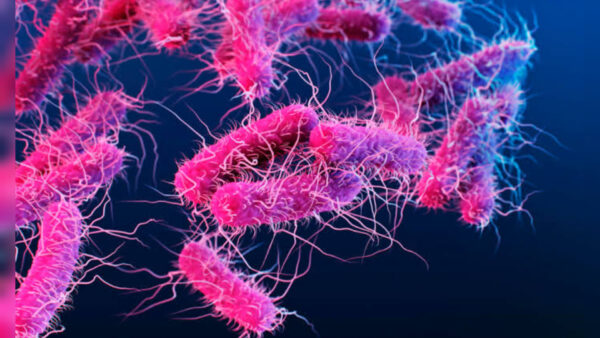 Inshot 20251111 223322921