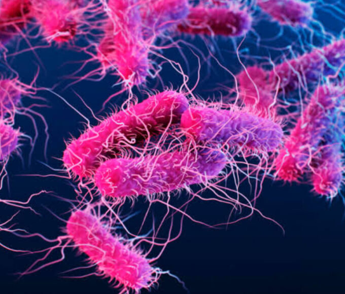 Inshot 20251111 223322921