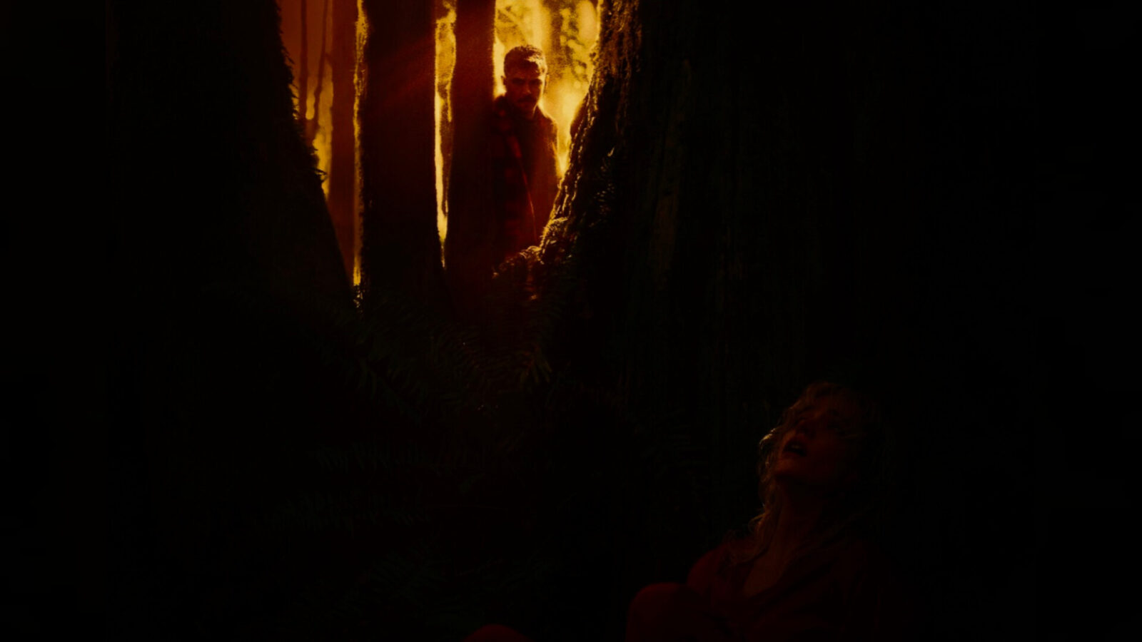 Inshot 20251124 080227469