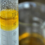 Inshot 20251126 043736753