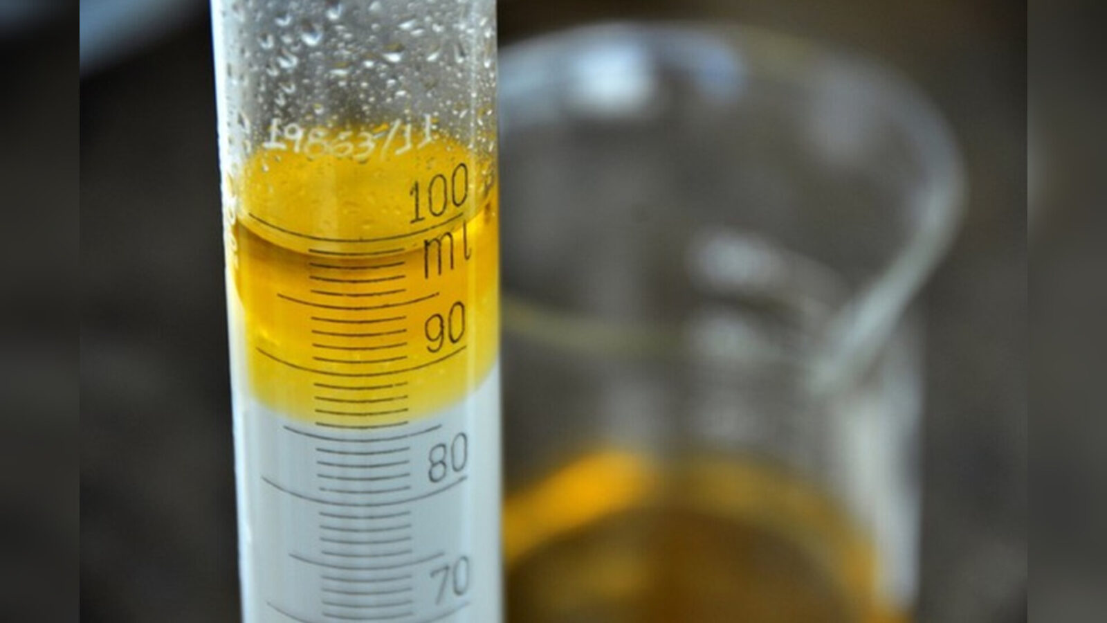 Inshot 20251126 043736753