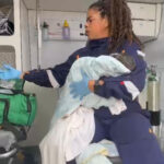 Inshot 20251126 051703173