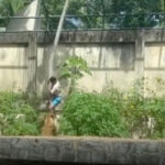 Inshot 20251130 195936942