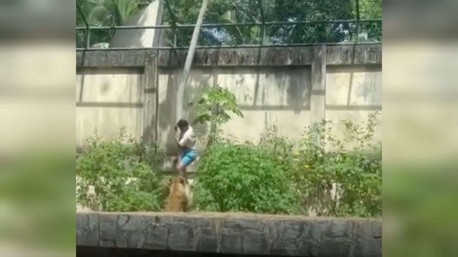 Inshot 20251130 195936942