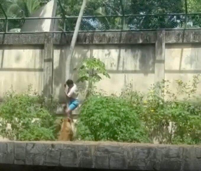 Inshot 20251130 195936942