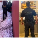 Whatsapp image 2025 11 27 at 11.45.30.jpeg