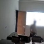 Invasao patoshoje widelg