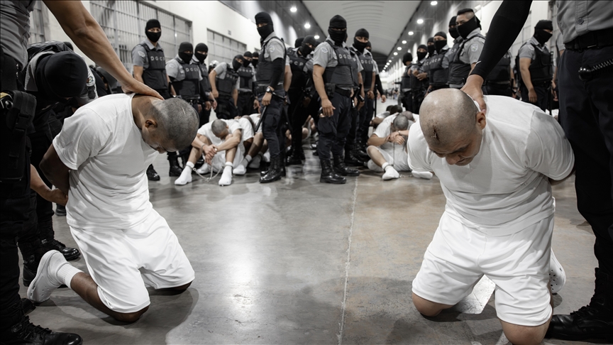 Thumbs b c 083ddfb147606b98e20837e7c845f0af