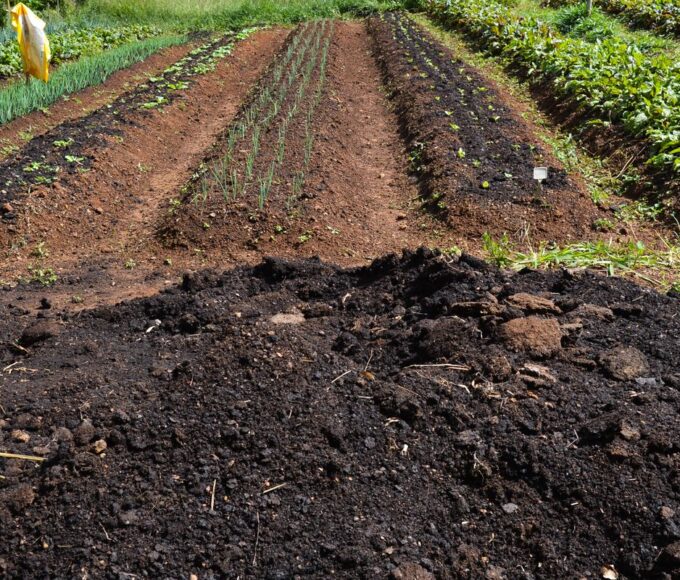 CMN amplia socorro a produtores afetados pelo clima