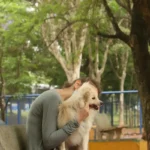 Cade aprova fusão entre Petz e Cobasi com restrições