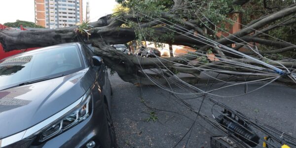 Comércio perde mais de R$ 50 milhões com falta de energia em São Paulo