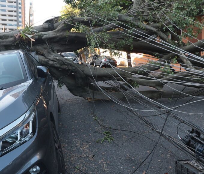 Comércio perde mais de R$ 50 milhões com falta de energia em São Paulo