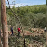 Inshot 20251202 221856444