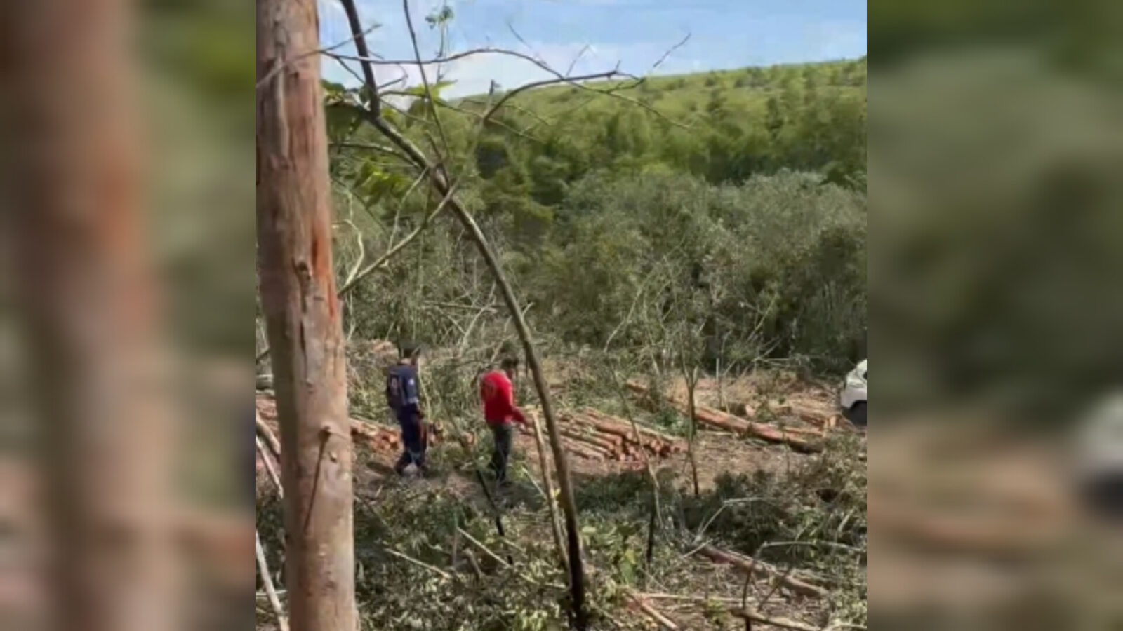 Inshot 20251202 221856444