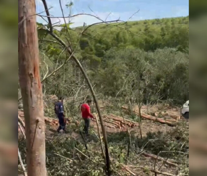 Inshot 20251202 221856444