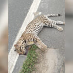 Inshot 20251207 144125771