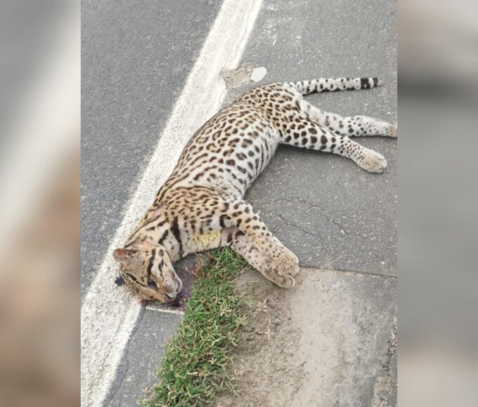 Inshot 20251207 144125771