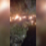 Inshot 20251210 142712029