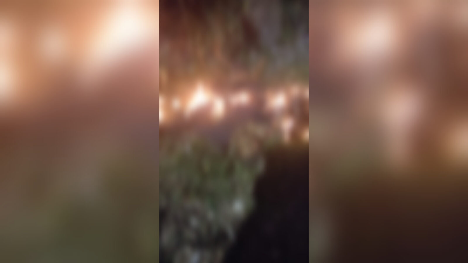 Inshot 20251210 142712029