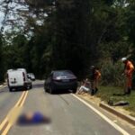 Inshot 20251211 060339665