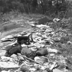 Inshot 20251214 104009061